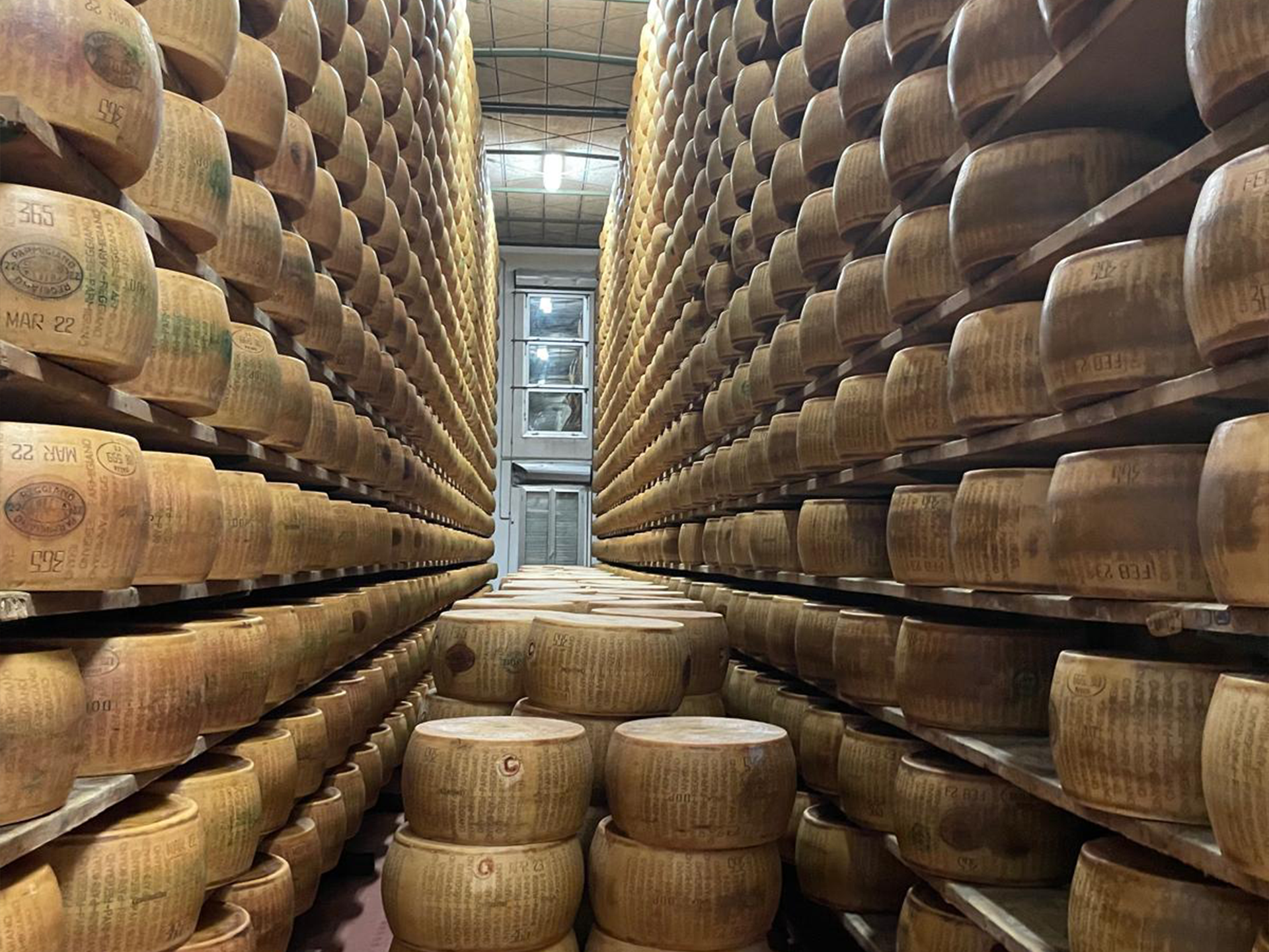 Parmigiano 2_