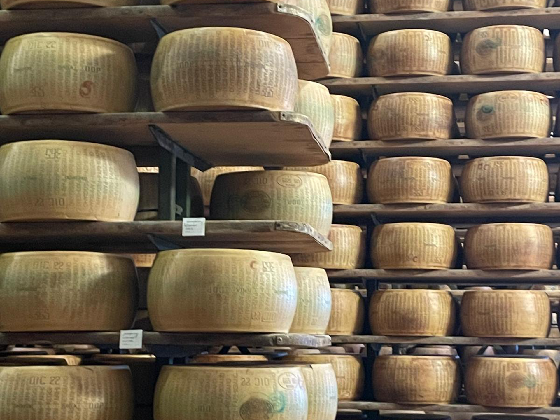 Parmigiano 4