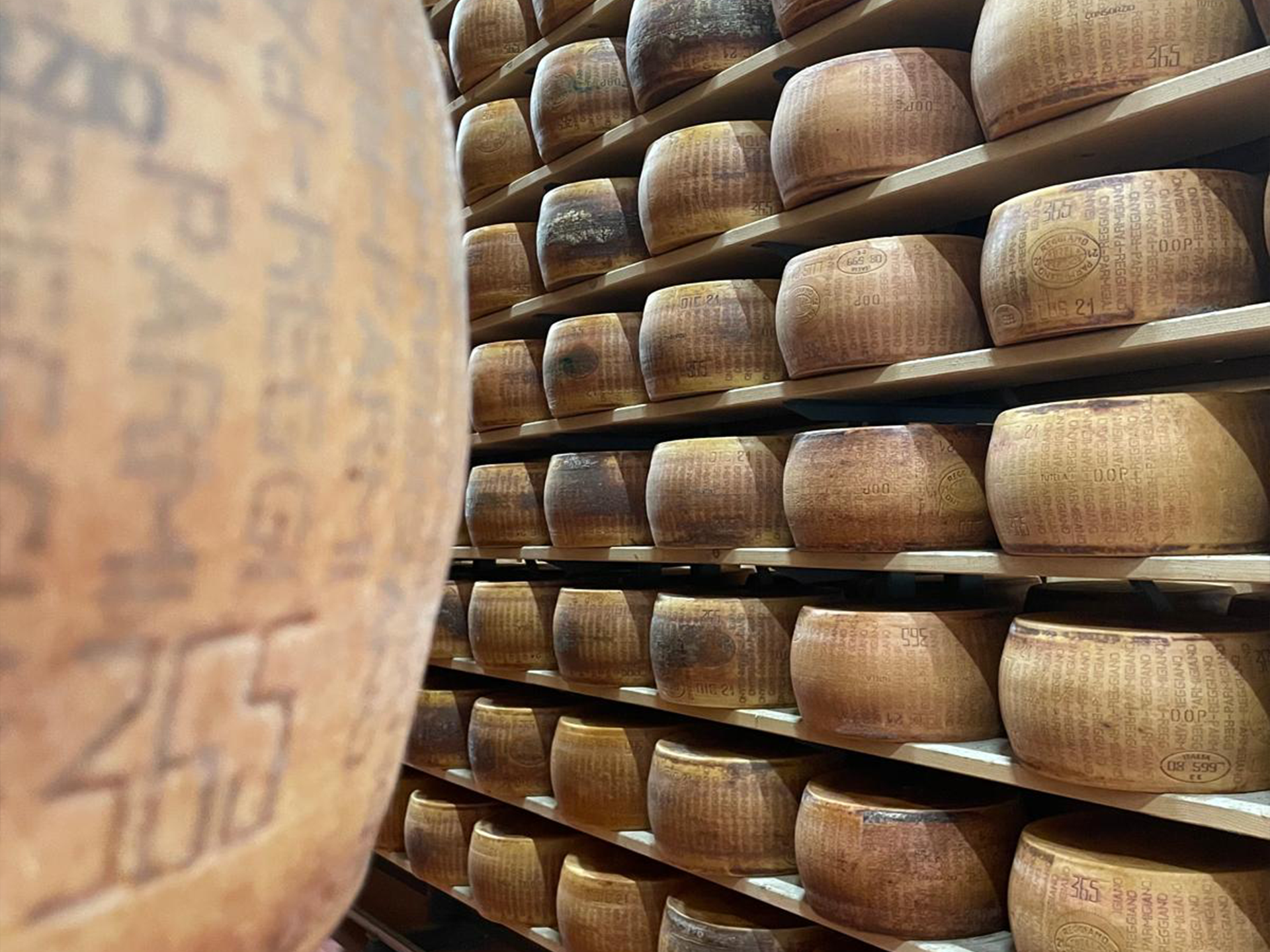 Parmigiano 5