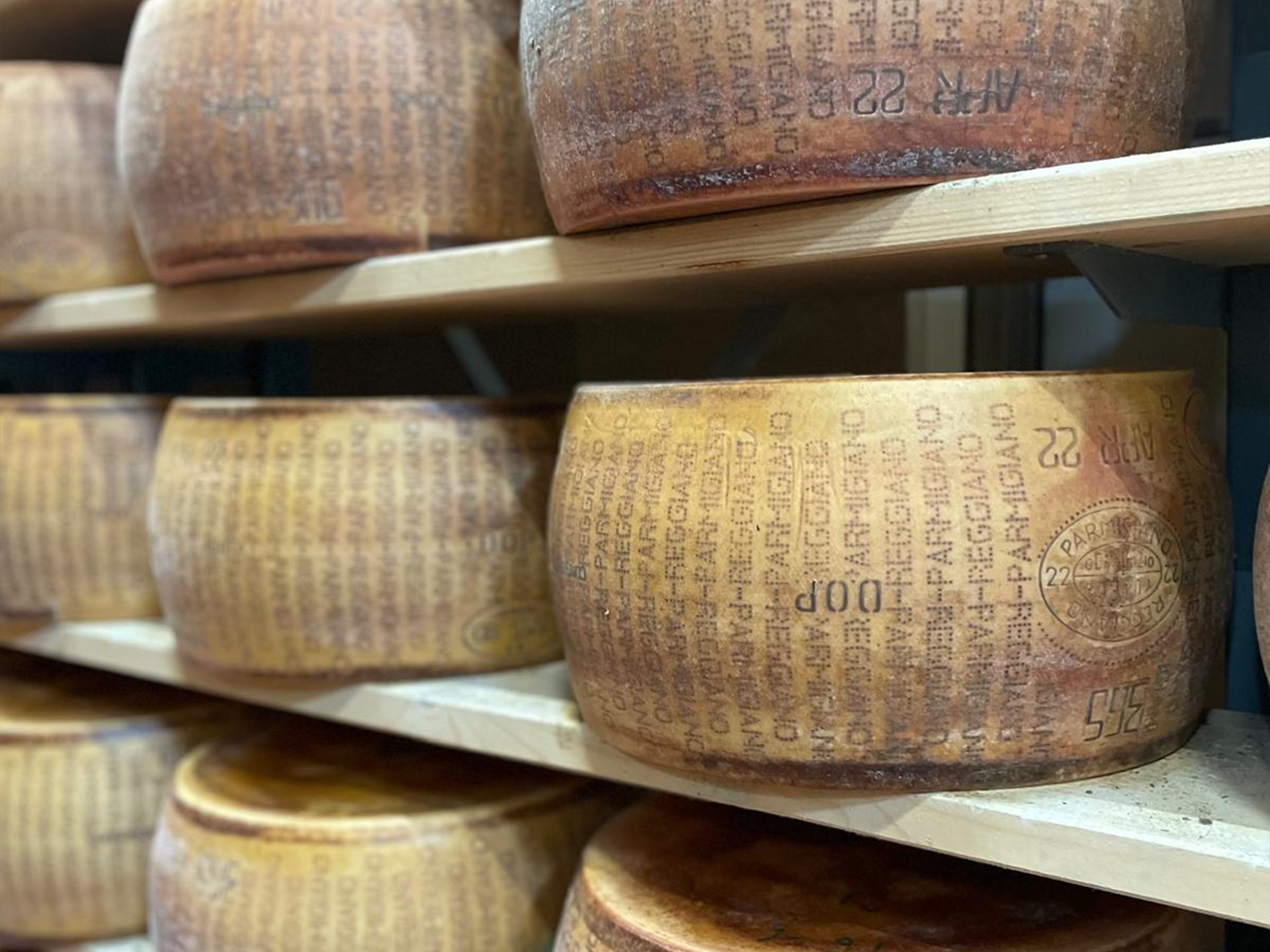Parmigiano 6